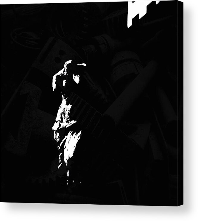 Venus Acrylic Print featuring the photograph Reinventing Venus by Al Harden