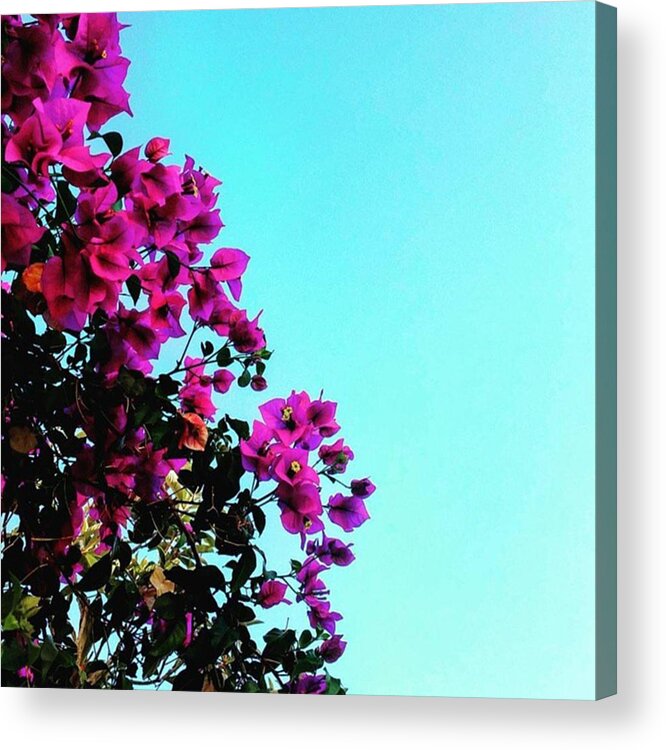 Beautiful Acrylic Print featuring the photograph Nature #3 by Andy Bucaille