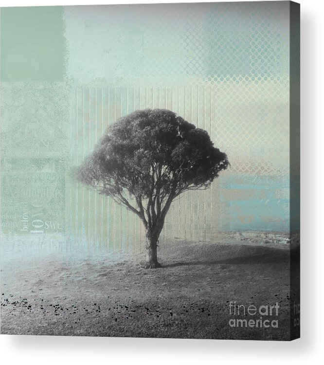 Tree Acrylic Print featuring the photograph Revelation - 31a by Variance Collections