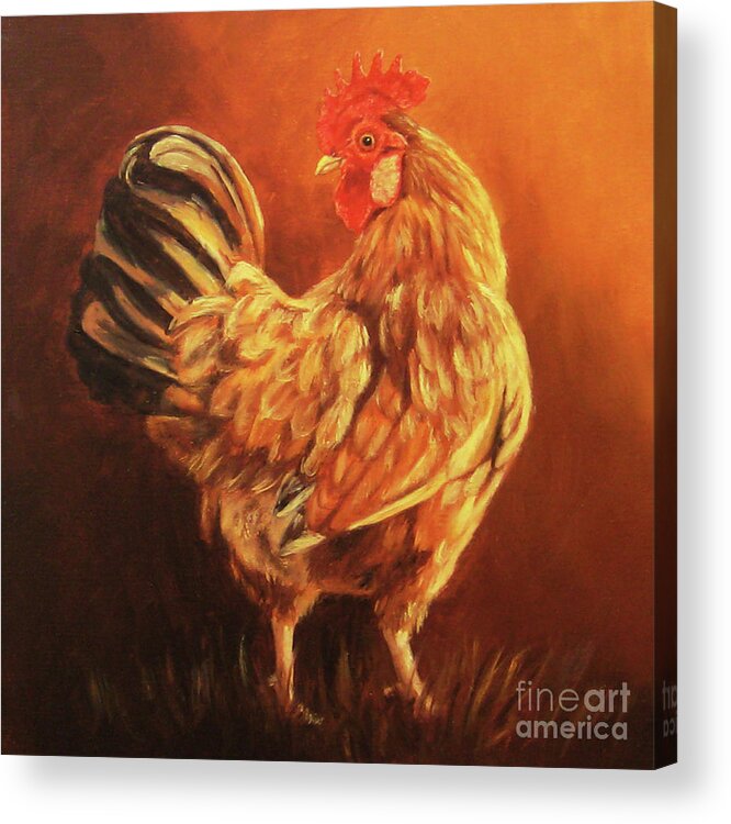 Rhode Island Red Acrylic Print featuring the painting Rhode Island Red Rooster by Tom Chapman