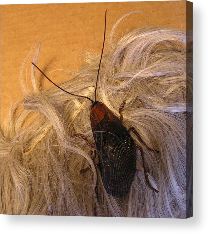 Jewelry Acrylic Print featuring the sculpture Roach Hair Clip by Roger Swezey