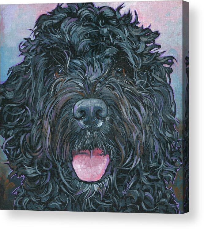 Portuguese Water Dog Acrylic Print featuring the painting Rocky by Nadi Spencer