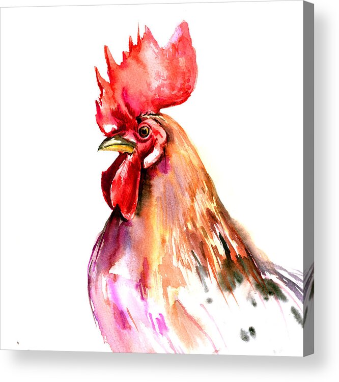 Rooster Acrylic Print featuring the painting Rooster Portrait by Suren Nersisyan