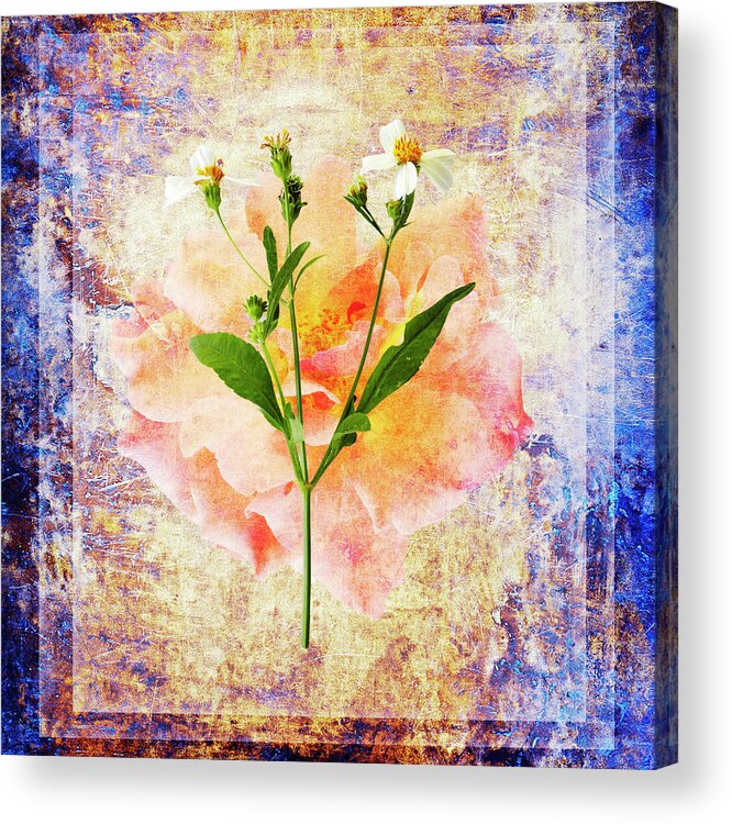 Flower Acrylic Print featuring the photograph Rose and Wild Flower by Skip Nall