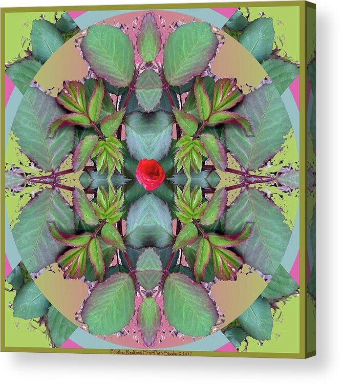 Rose Leaf Mandala Acrylic Print featuring the photograph Rose Leaf Mandala by Feather Redfox