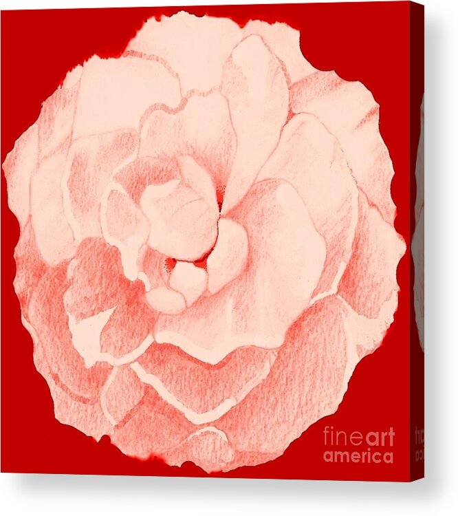 Pink Rose Acrylic Print featuring the digital art Rose On Red by Helena Tiainen
