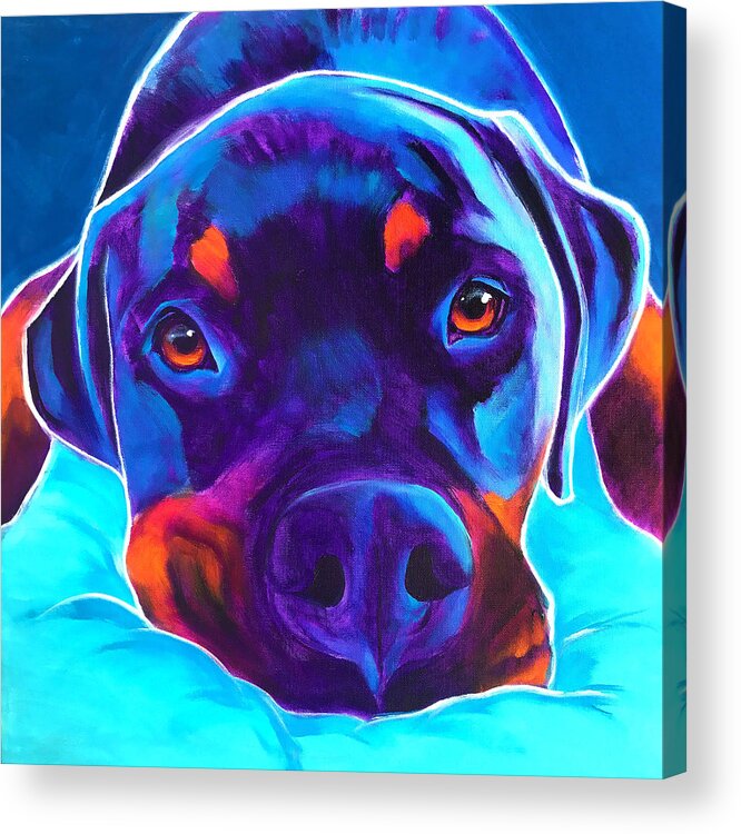 Pet Portrait Acrylic Print featuring the painting Rottweiler - Dexter by Dawg Painter
