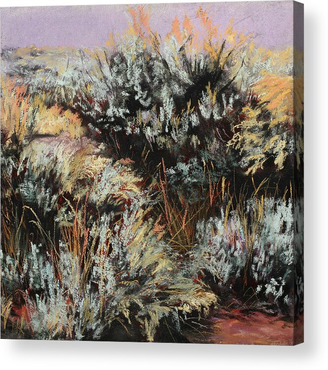 Sagebrush Acrylic Print featuring the painting Sage and Shadows by Sandi Snead