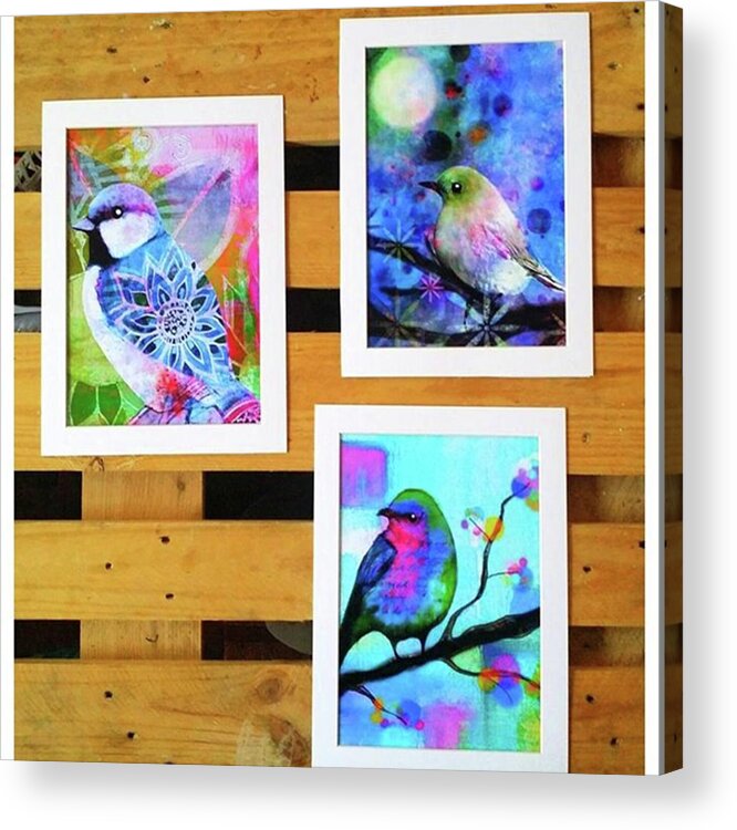  Acrylic Print featuring the photograph *sale* 3 11 X 14 In. Bird Prints With by Robin Mead
