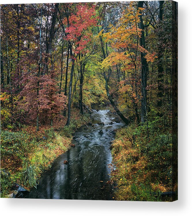 Savage Creek; Savage; Maryland; Autumn; Fall; Color; Creek; Stream; Travel; Places; Landscape Acrylic Print featuring the photograph Savage Creek by Robert Fawcett