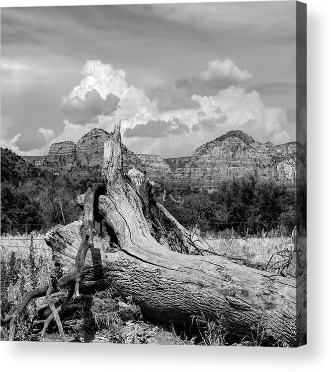 Red Rock Canyon Acrylic Print featuring the photograph Sedona Arizona Western Landscape 1x1 Black and White by Gregory Ballos