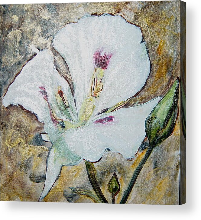 Sego Lily Acrylic Print featuring the painting Sego Lily by Bonnie Peacher