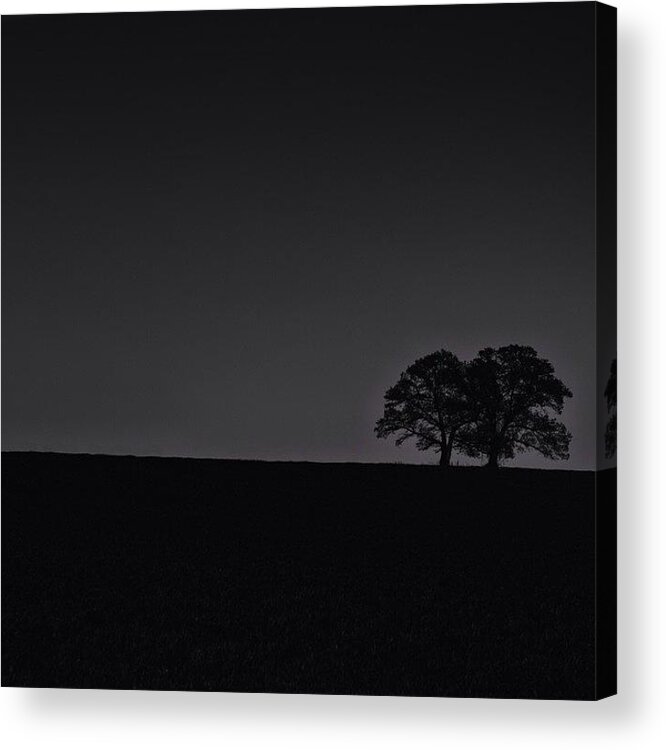 Rcspics Acrylic Print featuring the photograph Sentinels by Dave Edens