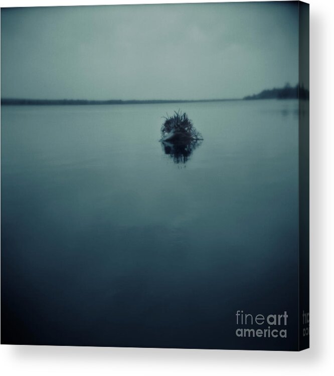 Landscape Acrylic Print featuring the photograph Series Wood and Water 1 by RicharD Murphy