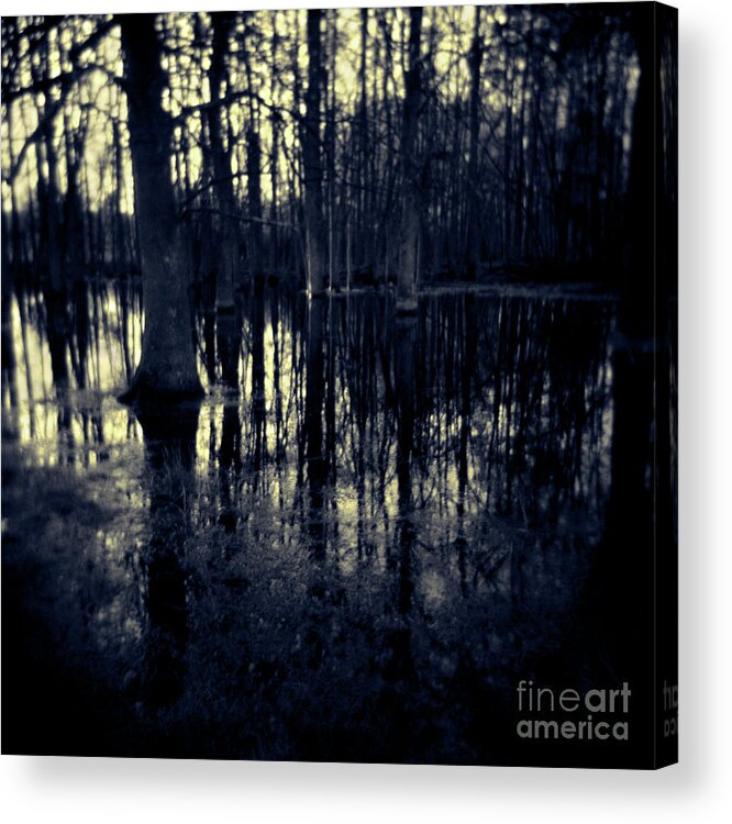 Landscape Acrylic Print featuring the photograph Series Wood and Water 4 by RicharD Murphy