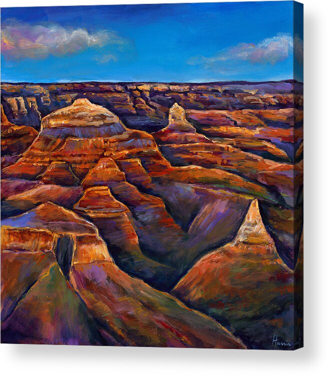 Landscapes Acrylic Print featuring the painting Shadow Canyon by Johnathan Harris