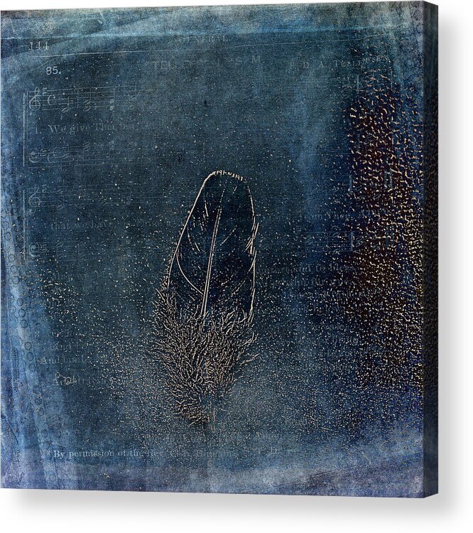 Texture Acrylic Print featuring the photograph Shaken Feather by Randi Grace Nilsberg