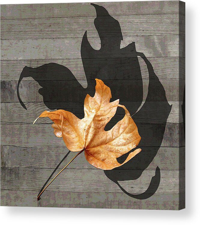 Autumn Leaf Acrylic Print featuring the photograph Shall We Tango by I'ina Van Lawick