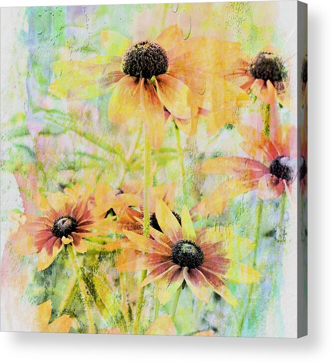 Flower Acrylic Print featuring the photograph Sherbet Flowers by Virginia Folkman