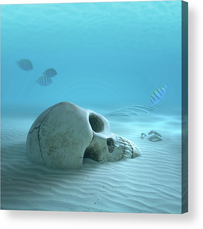Skull Acrylic Print featuring the photograph Skull on sandy ocean bottom by Johan Swanepoel