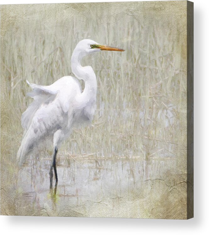 Egret Acrylic Print featuring the photograph Snowy Egret by Karen Lynch