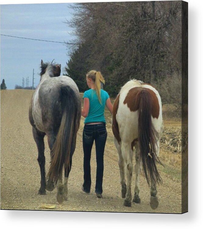 Horses Acrylic Print featuring the photograph So I Was On My Way Home And I Saw These by Neli Kvale