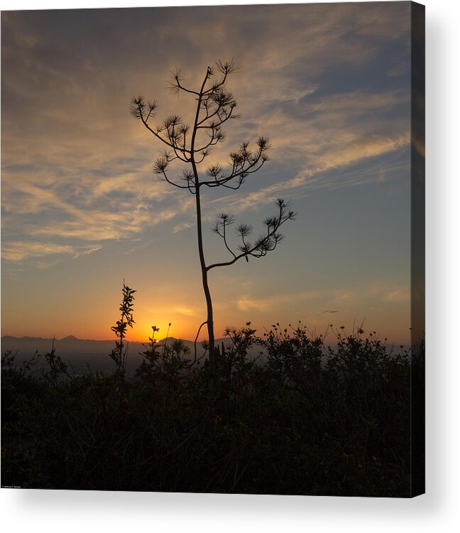 Soledad Acrylic Print featuring the photograph Solitude At Solidad by Jeremy McKay