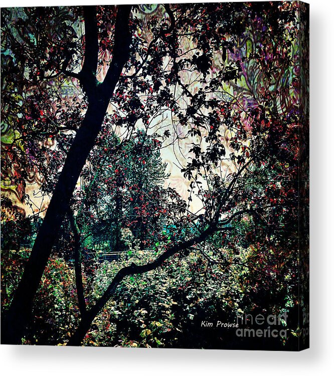 Season Change Acrylic Print featuring the photograph Spring Life by Kim Prowse