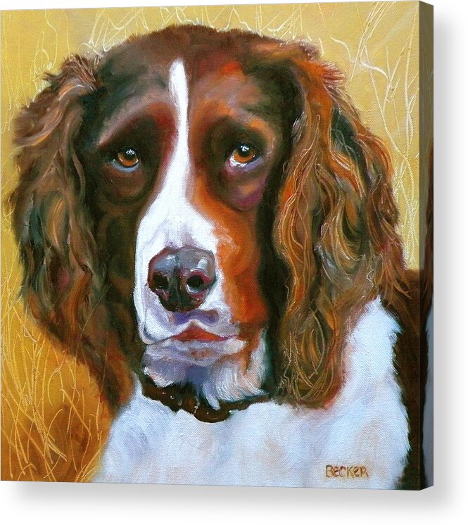 Dogs Acrylic Print featuring the painting Springer Spaniel by Susan A Becker