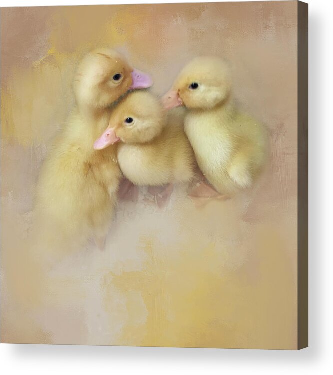 Ducks Acrylic Print featuring the photograph Springtime Babies by Jill Love