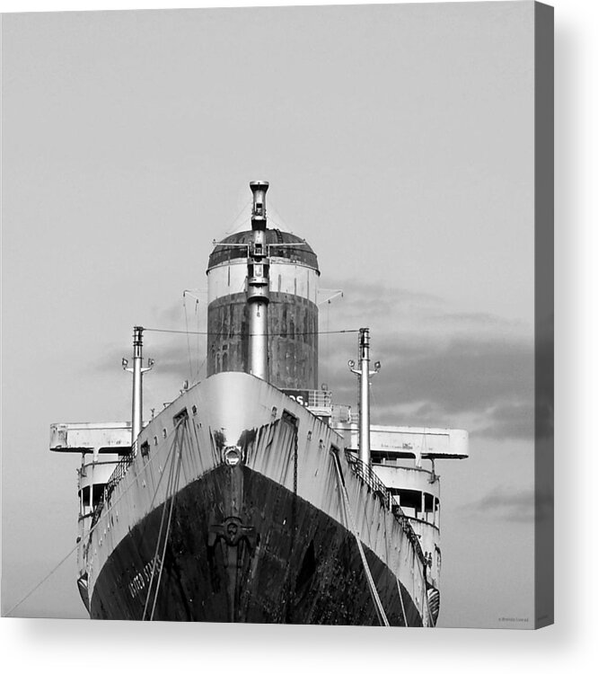 Ssus Acrylic Print featuring the photograph Ssus by Dark Whimsy