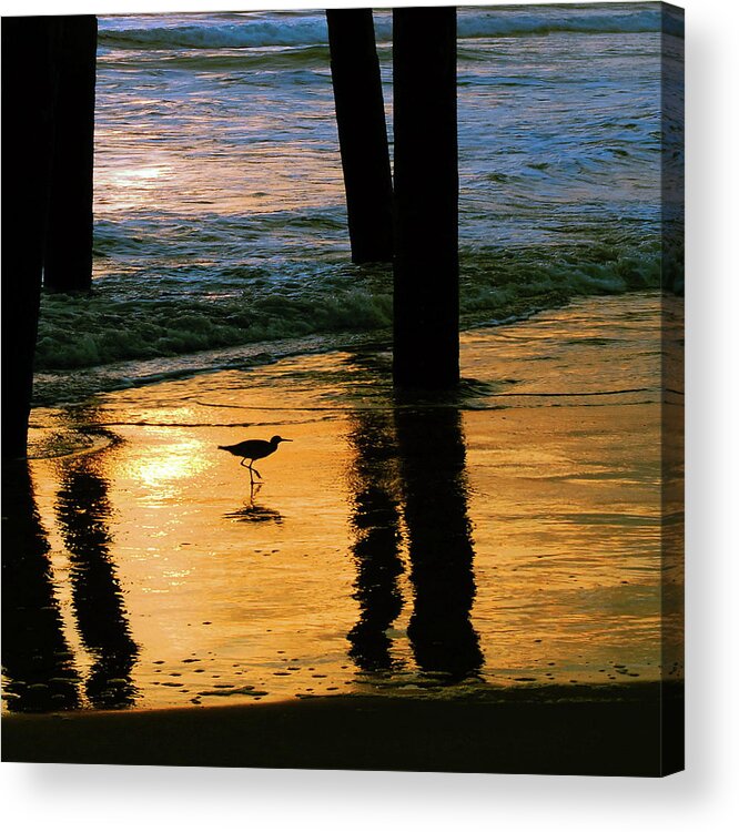 Square Acrylic Print featuring the photograph Stalking Shadows by Howard Bagley