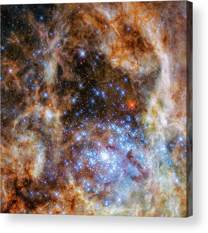 Cosmos Acrylic Print featuring the photograph Star Cluster R136 by Marco Oliveira