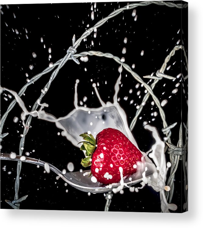 Strawberry Acrylic Print featuring the photograph Strawberry Extreme Sports by TC Morgan