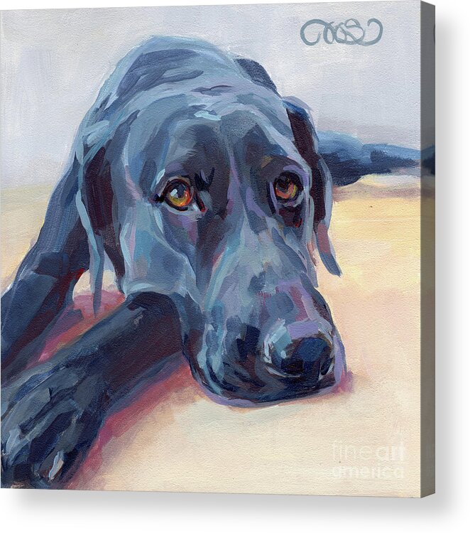 Black Lab Acrylic Print featuring the painting Stretched by Kimberly Santini