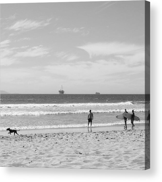 Summer Acrylic Print featuring the photograph Strollin On Dog Beach #1 by Leah McPhail