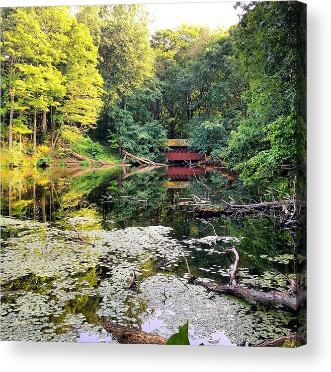 Pond Acrylic Print featuring the photograph Summer on a Pond by Nancy Ann Healy