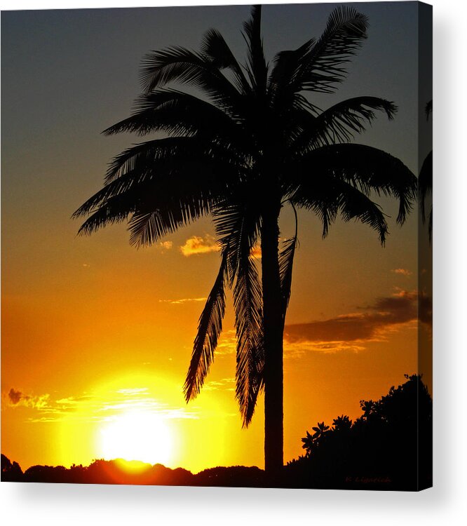Sunset Acrylic Print featuring the photograph Sundown by Kerri Ligatich
