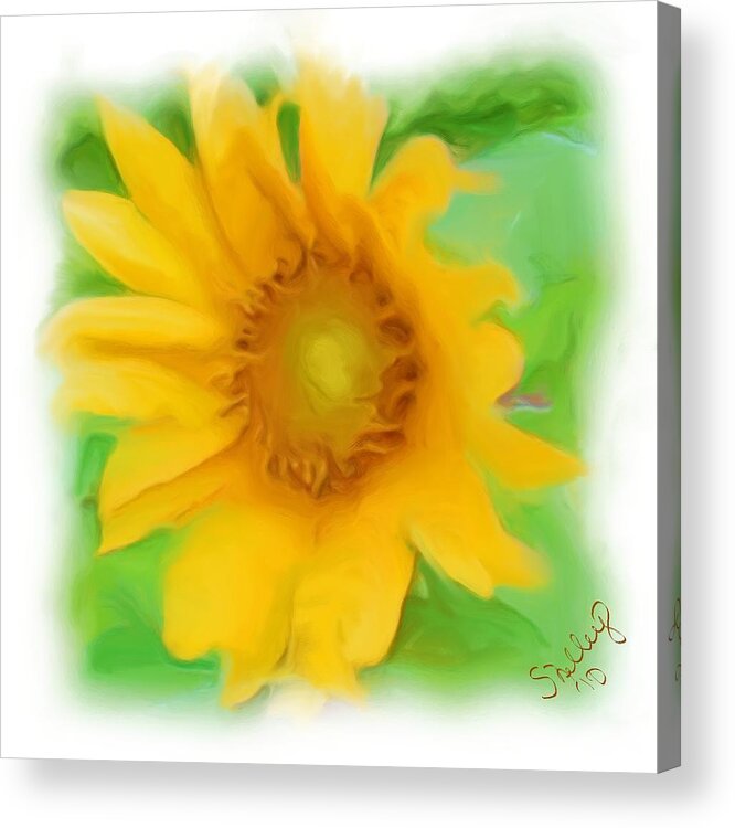 Sunflower Acrylic Print featuring the painting Sunflower by Shelley Bain