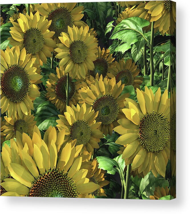 Flowers Acrylic Print featuring the digital art Sunflowers by Jan Keteleer
