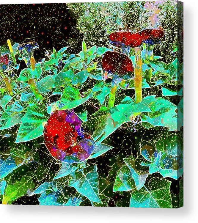 Organicart Acrylic Print featuring the photograph Sunrise In The Garden by Nick Heap