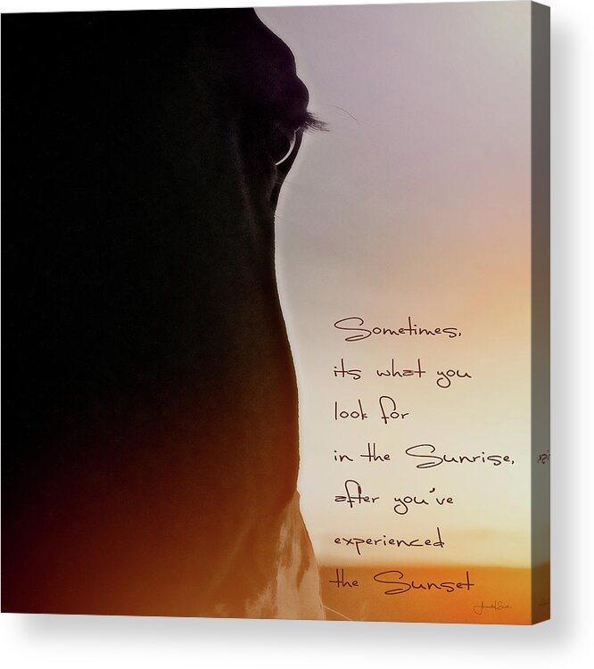 Horse Acrylic Print featuring the photograph Sunrise Sunset by Amanda Smith