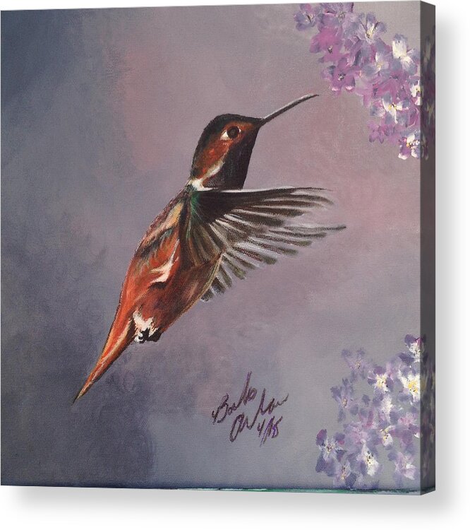 Hummingbird Acrylic Print featuring the painting Susie The hummingbird by Barbara Andrews