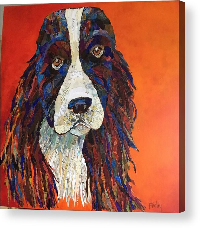 Dog Acrylic Print featuring the painting Sweet and Salty Springer by Phiddy Webb