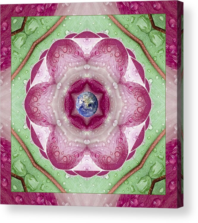 Mandalas Acrylic Print featuring the photograph Sweet Dew by Bell And Todd