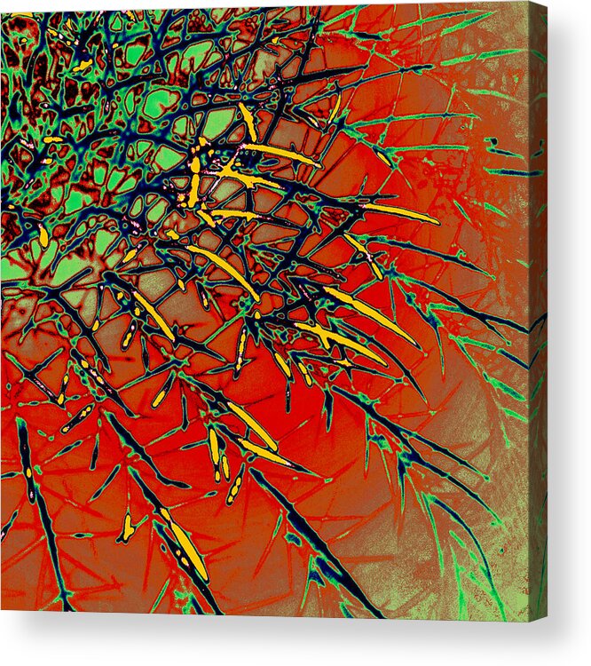 Digital Art Acrylic Print featuring the digital art Swirl Barrel Cactus by Joe Hoover
