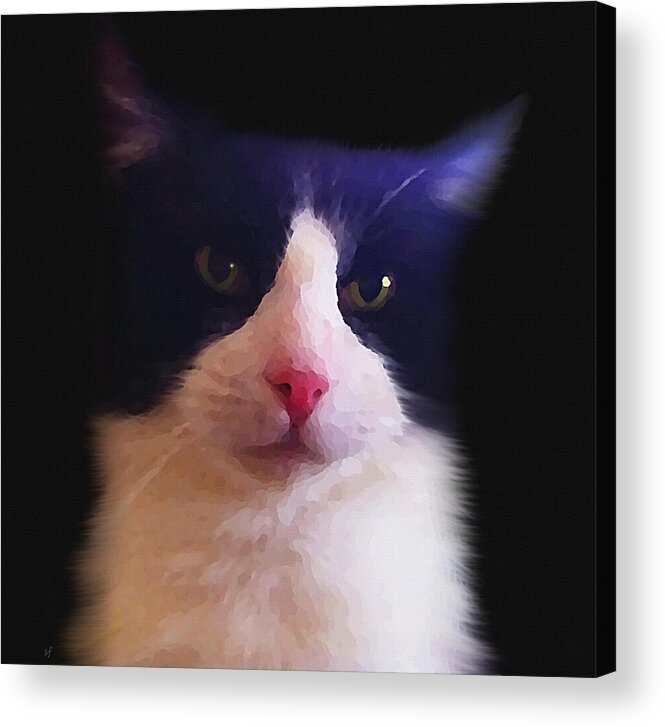 Animal Acrylic Print featuring the mixed media Sylvester Tuxedo Cat by Shelli Fitzpatrick