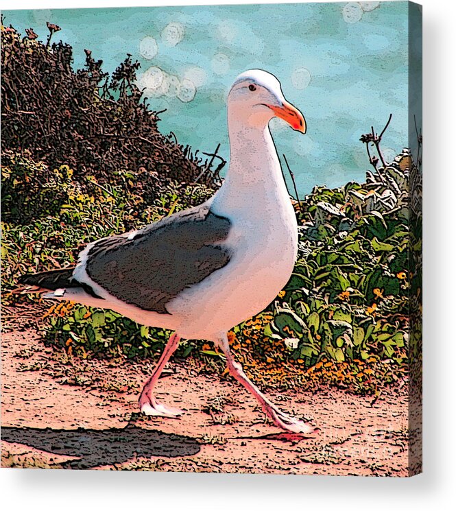 Bird Acrylic Print featuring the photograph Taking a Stroll by Joyce Creswell
