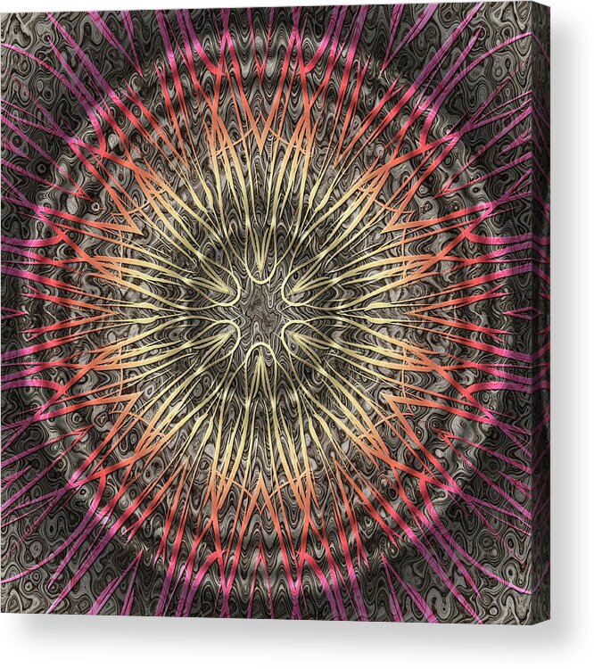 Experimental Mandalas Acrylic Print featuring the digital art Tangendental Meditation by Becky Titus