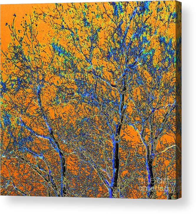 Orange Acrylic Print featuring the digital art Tangerine Light by Ann Johndro-Collins